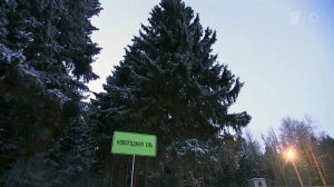 В Истринском районе Подмосковья проводили в столицу главную новогоднюю елку России