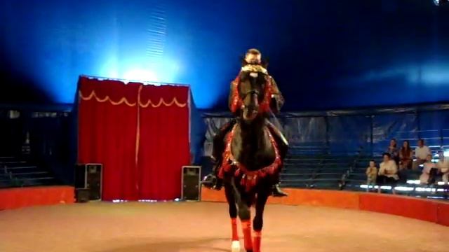 Лошадь в цирке смотреть онлайн