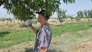 КОНИБОДОМ НАВИГАРИ ? АЭРОПОРТИ РАВОТ КАНИБАДАМ #конибодом