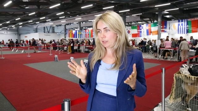 Для чего нужны выставки собак?? смотреть онлайн