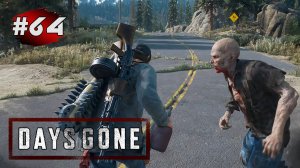 DAYS GONE (Жизнь После) ➤ Прохождение # 64 ➤ Орда у Старой Лесопилки