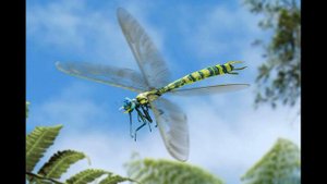 МЕГАНЕВРА - Доисторический хищник | ДРЕВНИЕ НАСЕКОМЫЕ