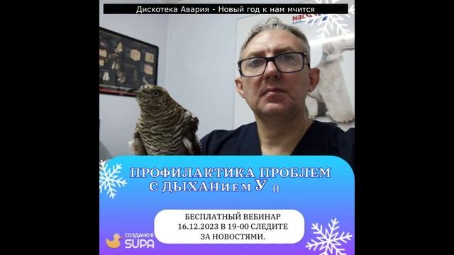 ПРОФИЛАКТИКА ПРОБЛЕМ С ДЫХАНИЕМ У ПТИЦ.16.12.2023 Бесплатный вебинар.