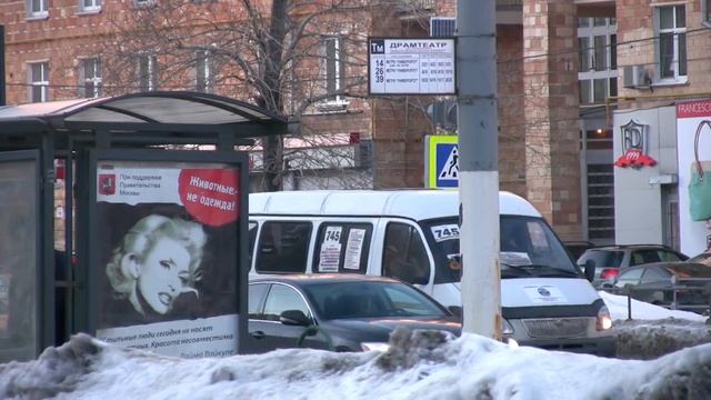 Животные - не одежда! Российские звёзды в кампании Центра защиты прав животных "ВИТА" смотреть онлайн