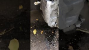 ЗАЧИЩАЕМ КРАСИМ СУППОРТА
