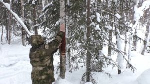 ОХОТА НА БОРОВУЮ ДИЧЬ С МЕЛКАШКОЙ / ПОХОД ДО ТАЁЖНОЙ ИЗБЫ. ЖАРИМ ШАШЛЫК ПОСЛЕ УДАЧНОЙ ОХОТЫ.