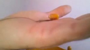 Поводки для спортивной ловли карпа(волосяной монтаж)