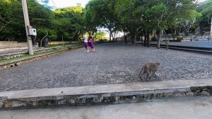 Пляж Паданг-Паданг. Храм Улувату. Бали. Padang Padang Beach. Uluwatu Temple.