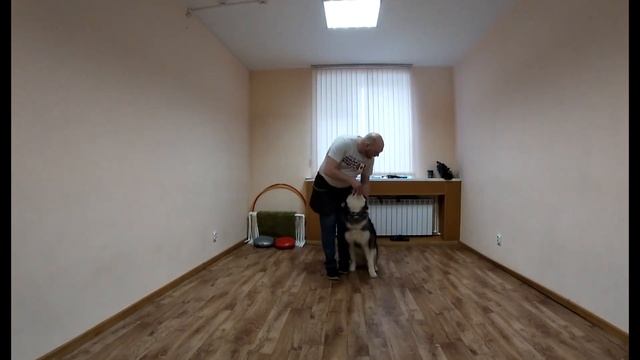 Разминка перед групповым занятием смотреть онлайн