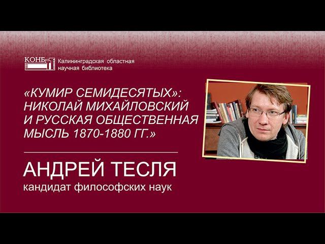 Кумир семидесятых: Николай Михайловский и русская общественная мысль 1870 - 1880 гг.