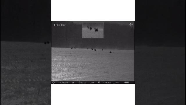 Охота в республике Беларусь (Березинский р-н) смотреть онлайн