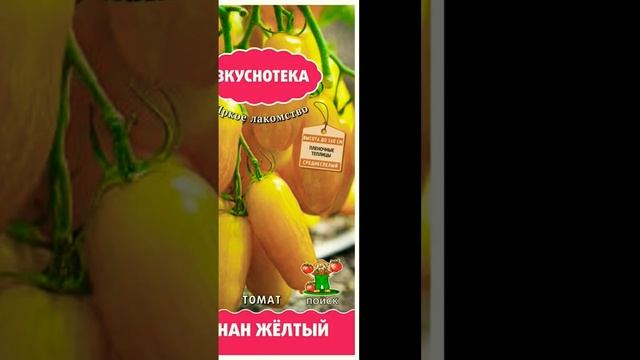 Томаты "Банан жёлтый", отзыв