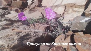 г.Норильск Водопад Красные камни 2018 лето