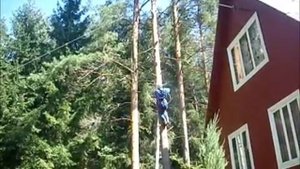 Валка дерева частями №3