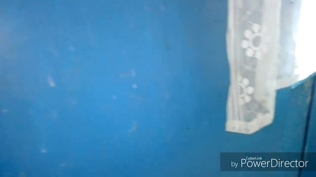 24 января, мои булочки / надо помыть стены / хочу нарисовать картину смотреть онлайн