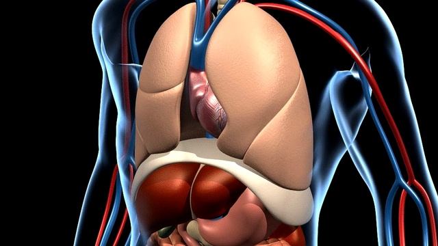 10 причин Зажать подушку между Ног во время Сна. Улучшится не только Самочувствие, но и... смотреть онлайн