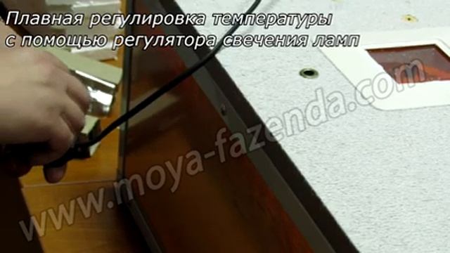 Большой брудер для выращивания цыплят. Ясли для птицы смотреть онлайн