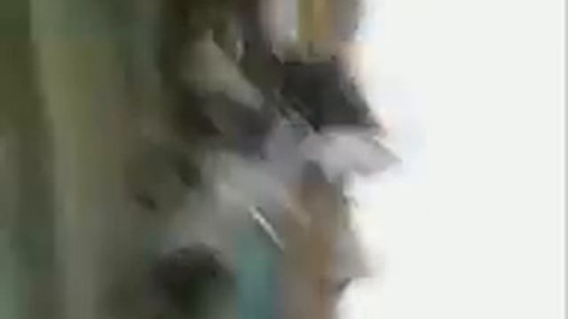 Мотороллер МУРАВЕЙ Цацинские покатушки смотреть онлайн