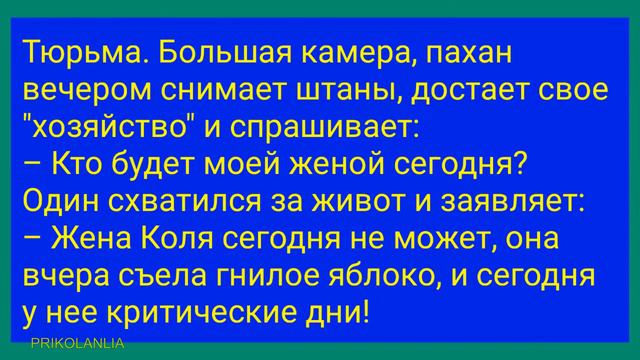 Жена игриво говорит мужу 📌 Анекдот дня 🤣🤣😂 #prikolanlia #anecdote
