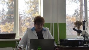 Лучшие растения медоносы