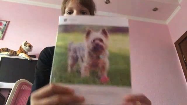 Back to school// Коллекция Саши Спилберг и много другой канцелярии))) смотреть онлайн