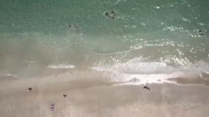 Музыка, Солнце, Море, Танцы, Пляж, Девушки, Отдых ? Популярные Хиты 2020