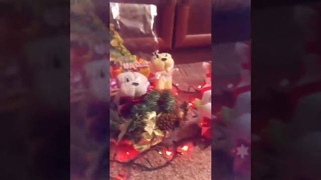 Собачка из полотенца смотреть онлайн