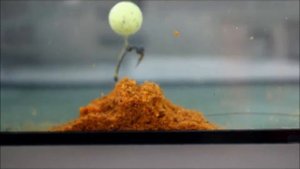 Carper TV  Ловля карпа  ПВА стики под водой