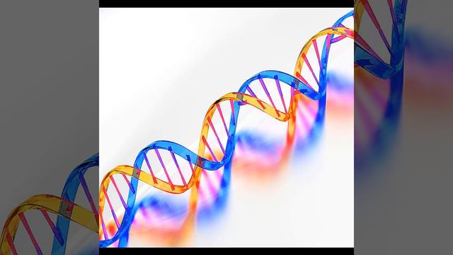 Человек-Бог или как сделать животное на свой вкус.[МЫСЛИ В СЛУХ] смотреть онлайн