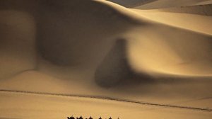 Заур Магомадов    Идёт караван из Ирана