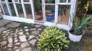 Обзор на мой огород