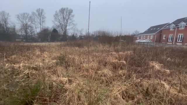 Candus was INSIDE when Summer got gone?! More discrepancies in the Wells' timeline смотреть онлайн