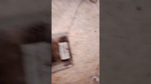 Холодное электричество. На индукционной технологии часть 1.