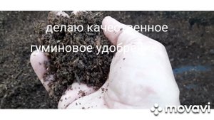 БГВ 194 Удобрение сделанное личинками Чёрной Львинки