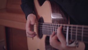 Honkai Impact 3rd: Moon Halo (Fingerstyle Guitar)