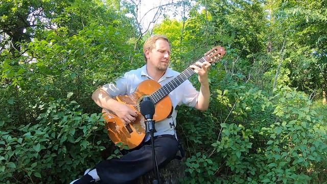 УЛЫБКА - Владимир Шаинский #guitar #fingerstyle #guitars #гитара #урокигитары  #классическаягитара