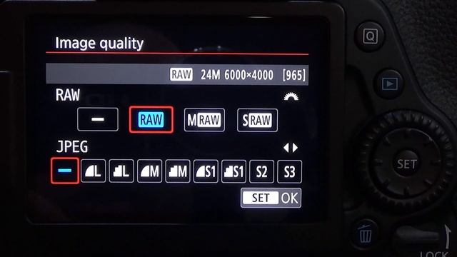 Canon EOS 80D: How To Set The Image Quality (JPEG / RAW) | Photography Tips смотреть онлайн