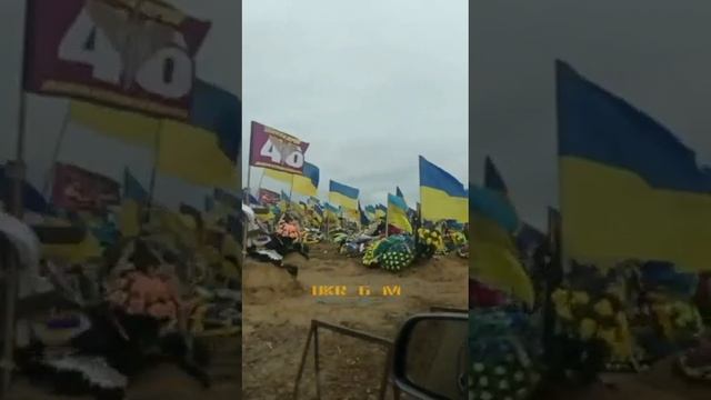 Такая картина сейчас по всей украине