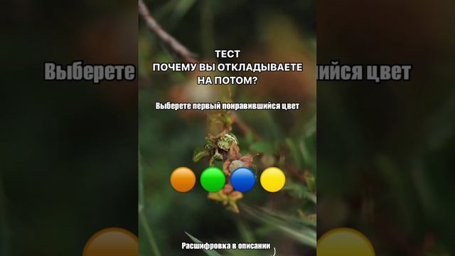Выберете первый понравившийся цвет. Пишите в комментариях.  Расшифровка в описании