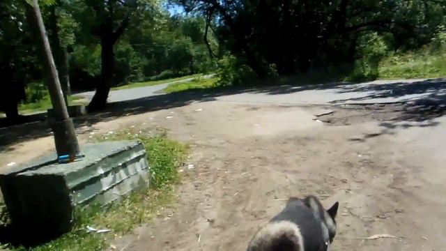 Прогулка шагом 1 смотреть онлайн