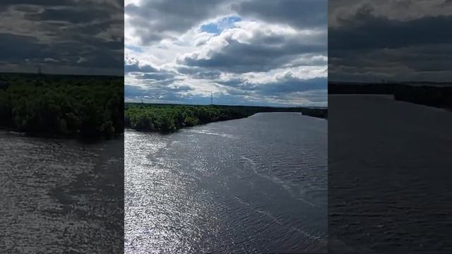 Жизнь с велосипеда. Мост через реку Сож. Лето 2021. Безфильтров.