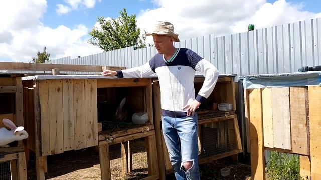 Кролики в деревне. Разведение кроликов. Наше хозяйство. Хозяйство.