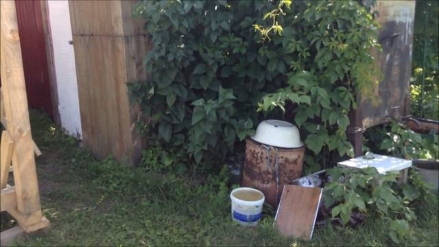 День на даче вместе с детьми #тудаиобратно смотреть онлайн