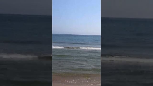 просеивают песок на пляже, супер чистые пляжи в Террачине, весна 2022 смотреть онлайн