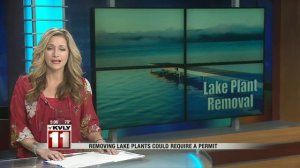 Removing lake plants could require a permit