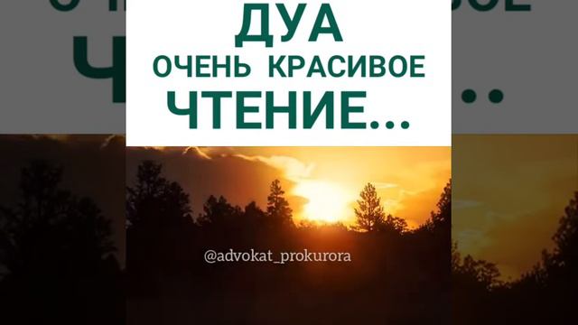 Дуа очень красивое Чтение 2019