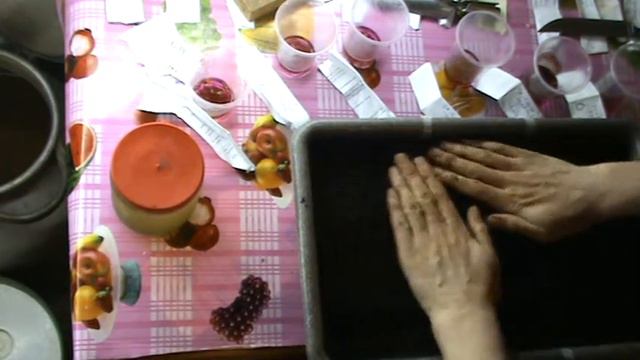 Посев семян томатов на рассаду часть 1 смотреть онлайн