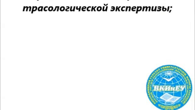 Организация дорожного движения смотреть онлайн