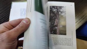 Пчеловодство. Роеловство. Интересное о пчёлах. Новая интересная книга о пчеловодстве и бортничестве
