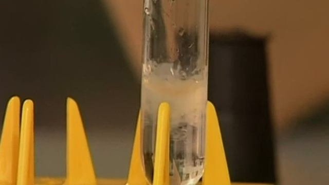 Видеоопыты. Неорганика 37. Получение и химические свойства амфотерных оснований